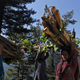 India-kashmir-tourism